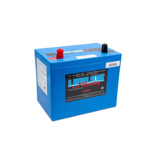 16 Volt 2 Post Battery